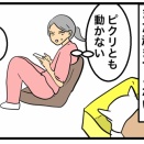 シニア犬の昼寝と睡眠まとめ｜寝すぎは大丈夫？徘徊の理由と正しい生活リズム