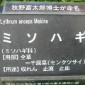 現在の状況250710
