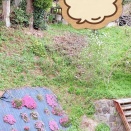 そのうち役に立つ……のか？