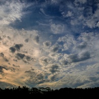 「森のくまさん」原曲
