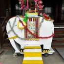 ✨👧🏻花祭りの準備ができました👶✨