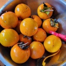 2025,11/7日の結果