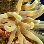 Beach Field　いいかげん日記帳Ⅲ