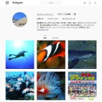 伊江島ダイビング| Kyo's Dive Log