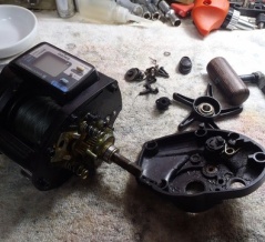 めっちゃ旧い棚センサー！