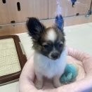 元気いっぱい⭐️