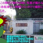 ニヤッとする話