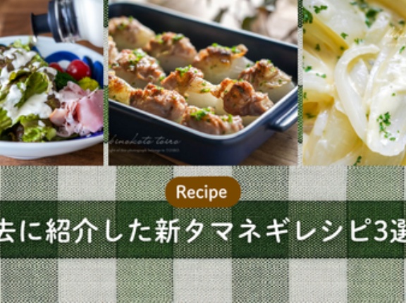 過去に紹介した新タマネギレシピ3選！
