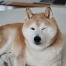 顔の向き