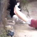 【動画】まんさん、柵を飛び越えようとするもスカートが引っかかって下半身丸出しｗｗｗｗｗ