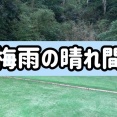 やっぱり暑い。器用な犬にはご用心。
