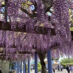 はぎもんの日記