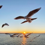 我ら、地域の仕掛け人！