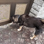 毎日がいなか