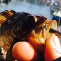 春めいた海でライトゲーム