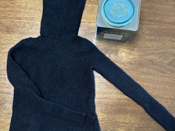 エイリアンの忘れ物？