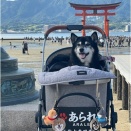 世界遺産・厳島神社をお参りしましたww