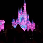 �ǥ����ˡ�🐭🎀