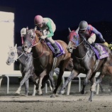 『【遠征結果】⑪バリウィール(牡3=小国博行厩舎)が重賞2勝目&ホッカイドウ競馬勢上位独占! 第2回ネクストスター北日本〔M1〕』の画像