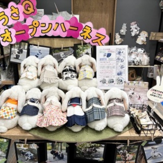 うさぎブログ　うさぎのしっぽ公式ブログ「日々しっぽ」