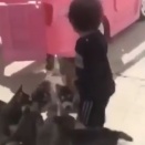 ショッキングすぎる。大勢の獣に小さな男の子がおそわれる映像。海外の反応