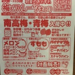 温泉めだかのブログ