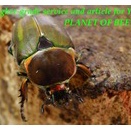 〇カショウスキィウェルナー♀単品＼(^o^)／