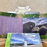 『「君が代」CDまもなく発売』の画像