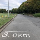 �ؤ��ҤȤꣳ�������٤β���