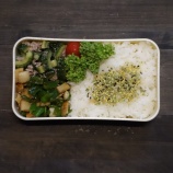 『2025/7/25のパートナーの相棒のお弁当【#お弁当】【2183個目】』の画像