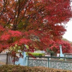 らいふ たまプラーザ