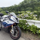 ２週ぶり