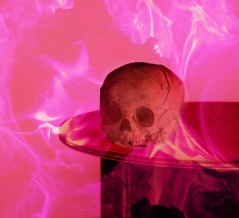 魔界の殺し屋が絶滅危惧種指定　無用