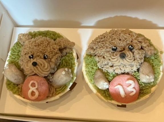 まーやちゃん、クラークくんお誕生日おめでとう🎂❤️🎂