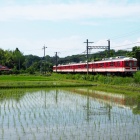『初夏の神鉄三田線さわやかです　三田発3両鈴蘭台行も』の画像