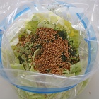 漬け込み不要！5分で簡単副菜！腸活フリフリのり塩キャベツ