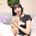 モデルでプロ雀士の岡田紗佳、保護猫のぽてとちゃんを家族として迎えたことを報告「か"わ"い"い"！！」と反響