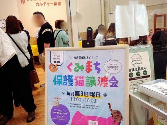 昨日は秘密結社ねこのひげ譲渡会☆幸せ便りクイズ答え合わせ