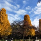 ウーブン・シティとはなんぞや