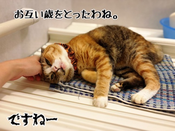 幸せ風呂の季節がやってきた♪
