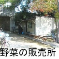 大阪府大（中百舌鳥校）の校内をウロウロ