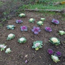 (*´σｰ｀)ｴﾍﾍです