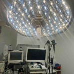 風の動物病院のブログ