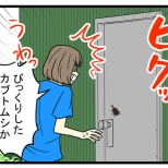 「価値があるのだろうけれど……」田舎ではよく見るけど、自分には嫌な存在なあの虫