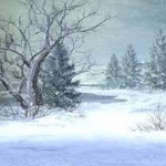今日の雪の画像うｐする！！