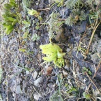 限界まで挑戦！！農業の可能性