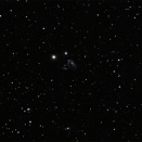 昨晩の成果　Arp273（宇宙のバラ）他
