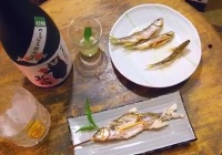 寄生虫リスク コイを釣って刺身で食ったツワモノがいるらしい って 鉄の胃袋 を持つ いつもの健啖隊さんだった 海辺の狩人