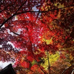ちゃっぷの温泉・ハイキングブログ