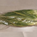 みどりむし、ややいたみかけの「ネギ」をもらう